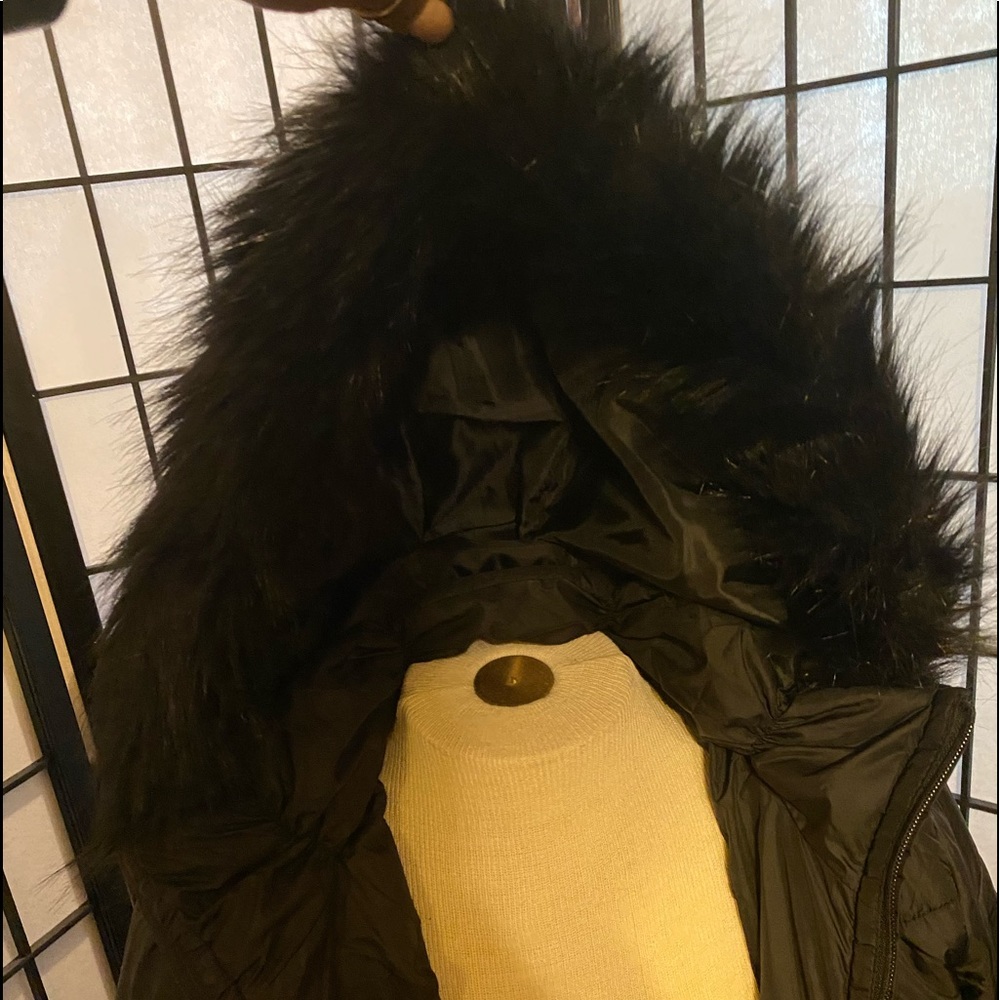 Jacket - Picture 4 of 6